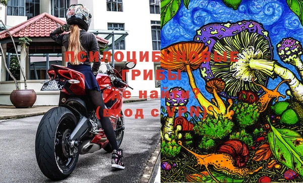 бутират Алзамай