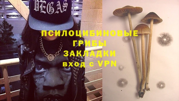 тгк Алексин